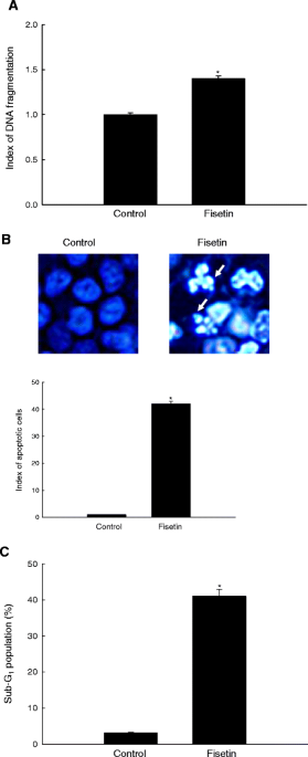 Fisetin induces apoptosis in human nonsmall lung cancer cells via a mitochondria