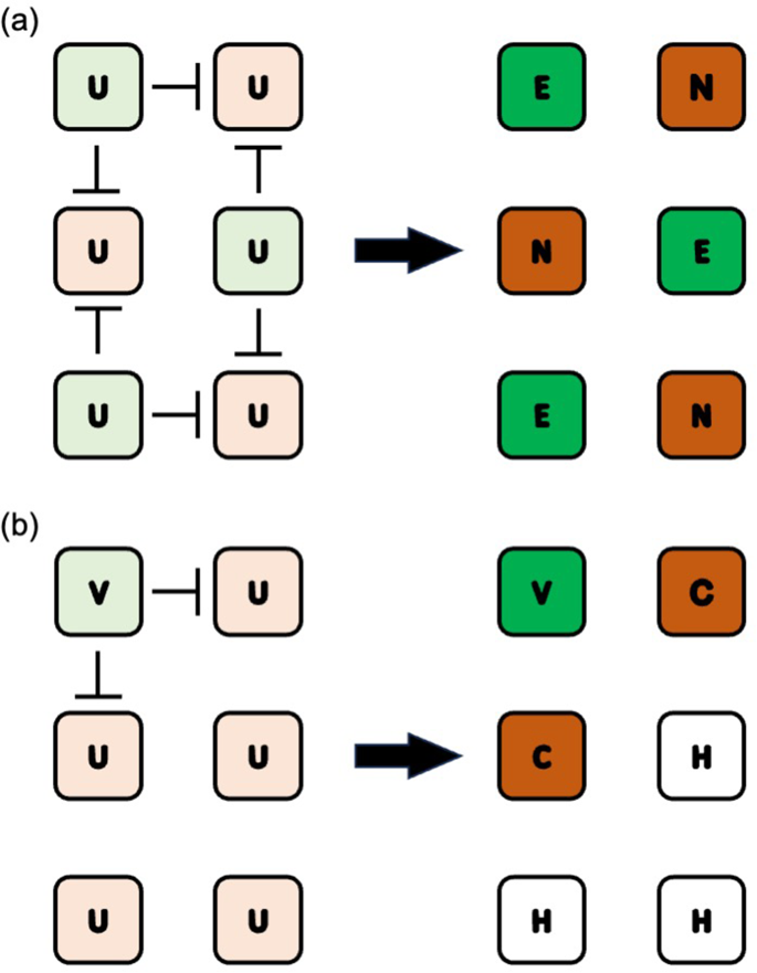 Chromatin accessibility analysis suggested vascular induction of the biliary epithelium via the notch signaling pathway in the human liver bmc research notes full text