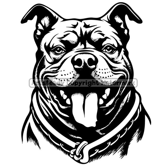 American bully or pitbull pit bullies dog gangster face svg png eps instant digital downloads instant download