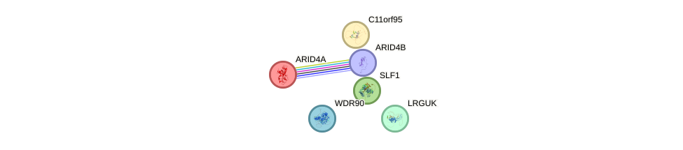 Zfta gene