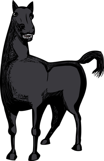 Black horse png vector psd and clipart with transparent background for free download