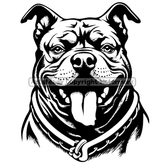 American bully or pitbull pit bullies dog gangster face svg png eps instant digital downloads instant download