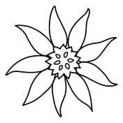 Sunflower coloring pages free coloring pages