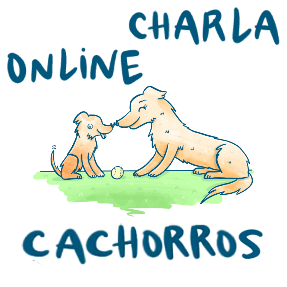 Charla online sobre cachorros â potencia la mente de tu perro