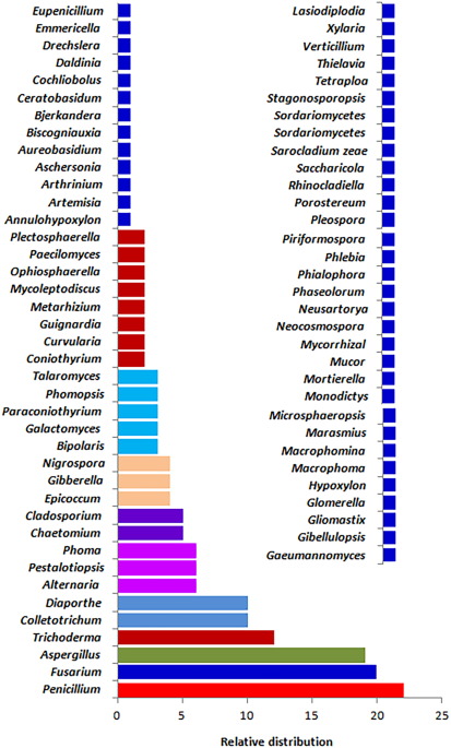 Endophytic fungal munities and their biotechnological implications for agro