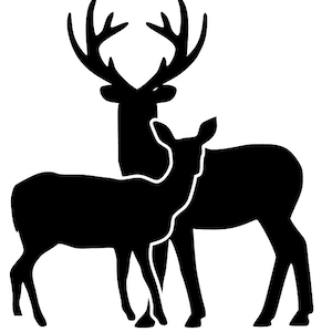 Kissing deer svg