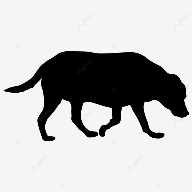 Labrador dog silhouette png images labrador dog black silhouette on white background black training doggy png image for free download