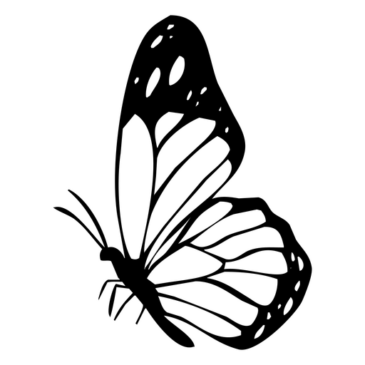 Detailed orange butterfly design png svg design for t