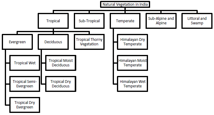 Plant communities and major vegetation environment and disaster management