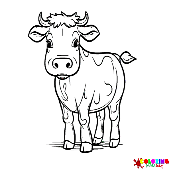 Calf coloring pages