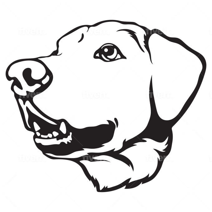 Draw custom pet portrait dog cat in vector line arts by makidguhit