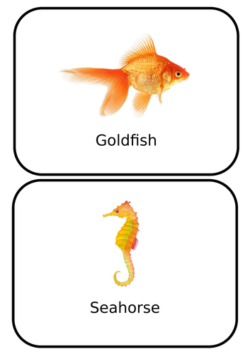 Fish flash cards teaching resources