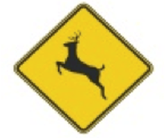 Texas road signs flashcards