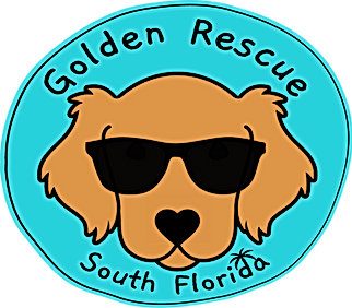 How to help golden rescue south florida