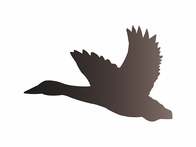 Duck flying stencil mallard drake greenhead hunt marsh silhouette diy art signs