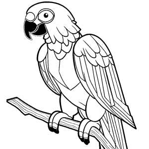 Grey parrot coloring pages for free â â lulu pages