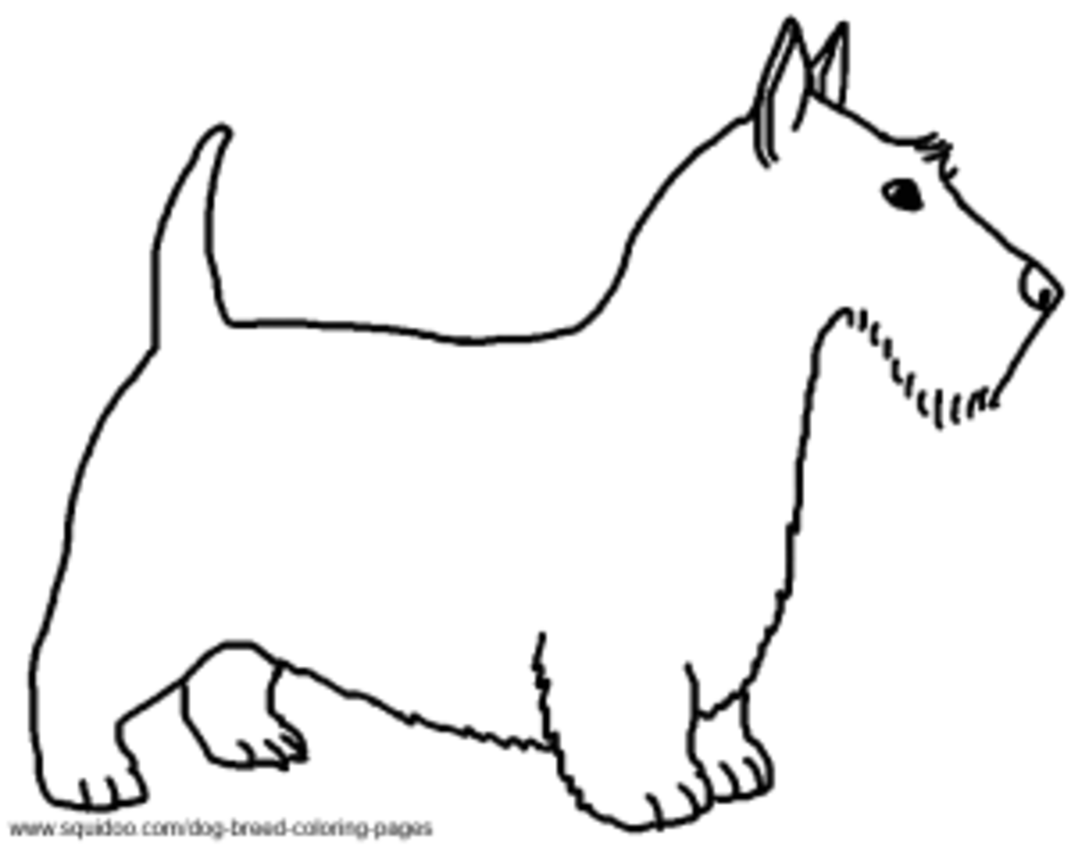 Dog breed coloring pages