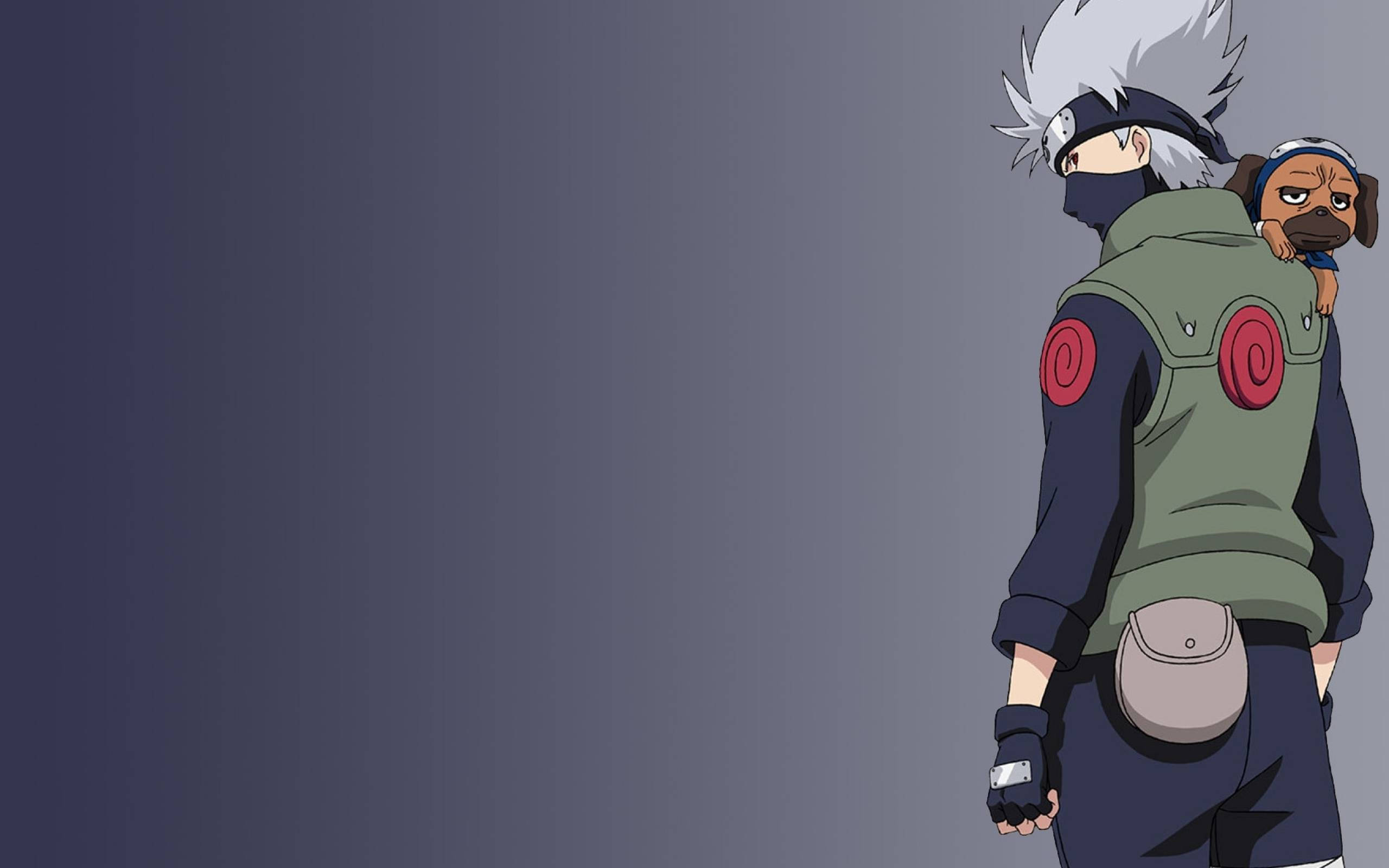 Download aesthetic anime desktop kakashi and pakkun wallpaper