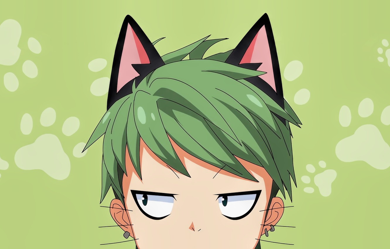 Wallpaper green cat boy face manga head japanese by sanoboss nora to oujo to noraneko nelo images for desktop section ññðð