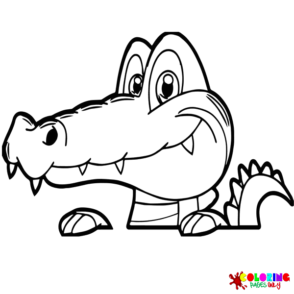 Alligator coloring pages