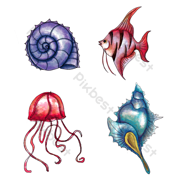 Watercolor sea animals png images psd free download