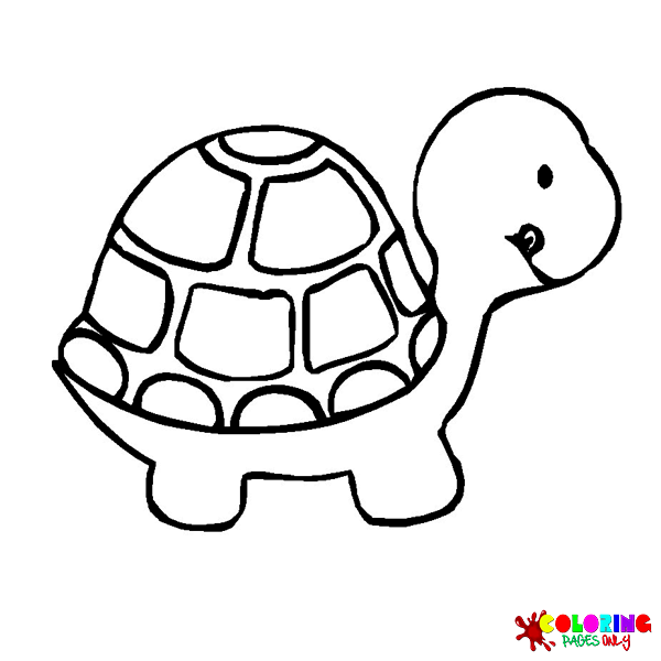 Reptiles coloring pages