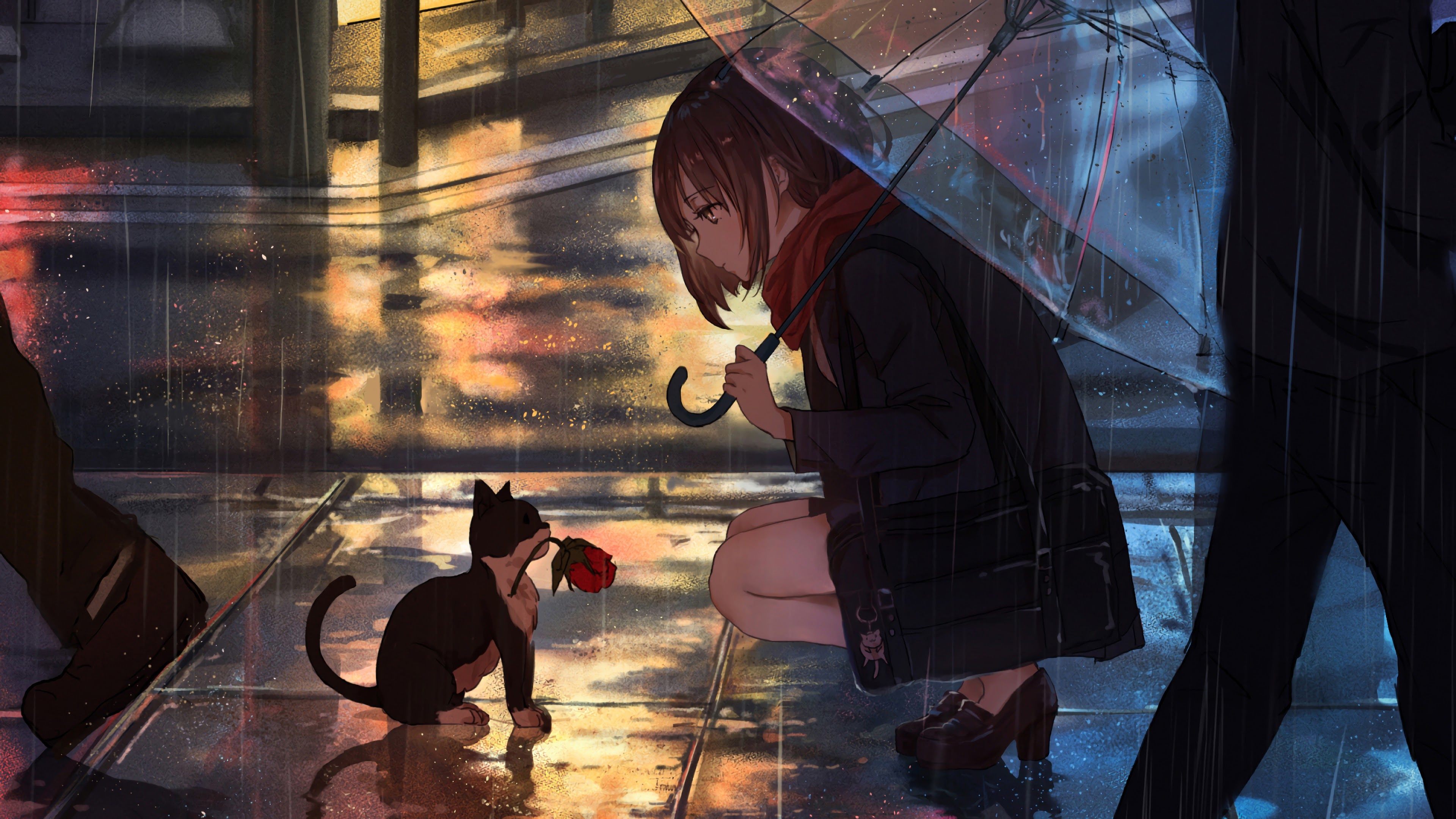 Anime girl raining cat k wallpaper