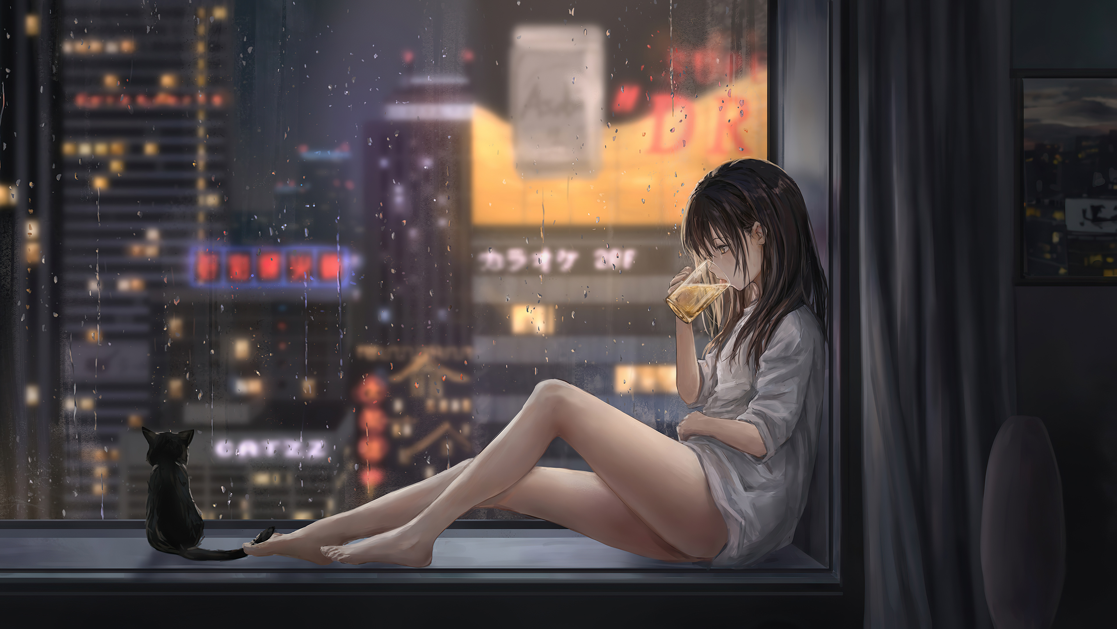 Anime girl cat raining k hd anime k wallpapers images backgrounds photos and pictures