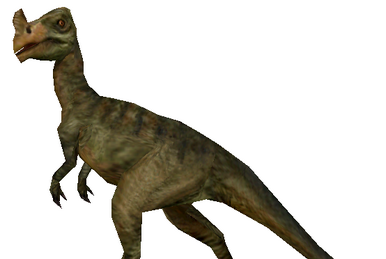 Troodon