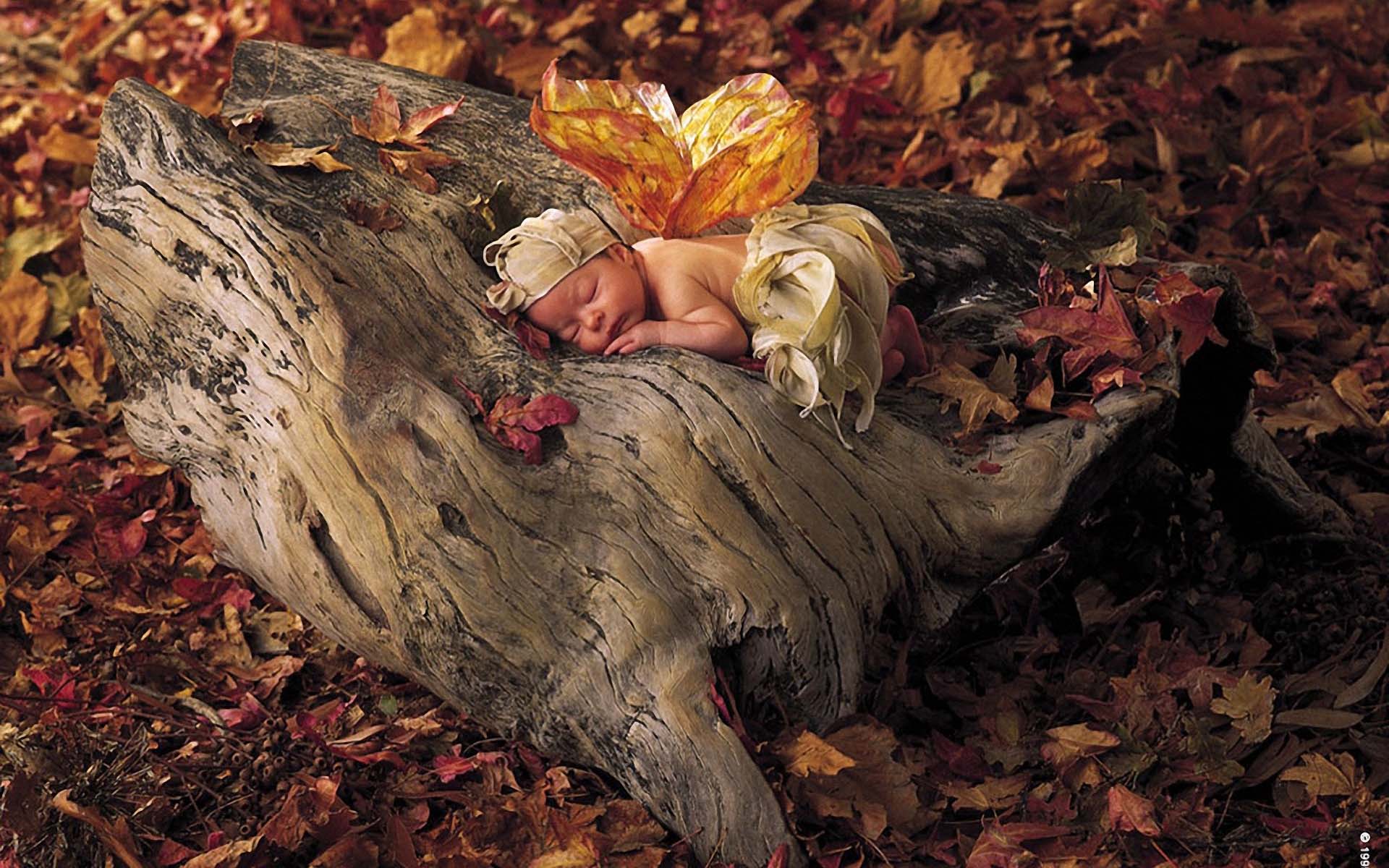 Anne geddes fall wallpaper