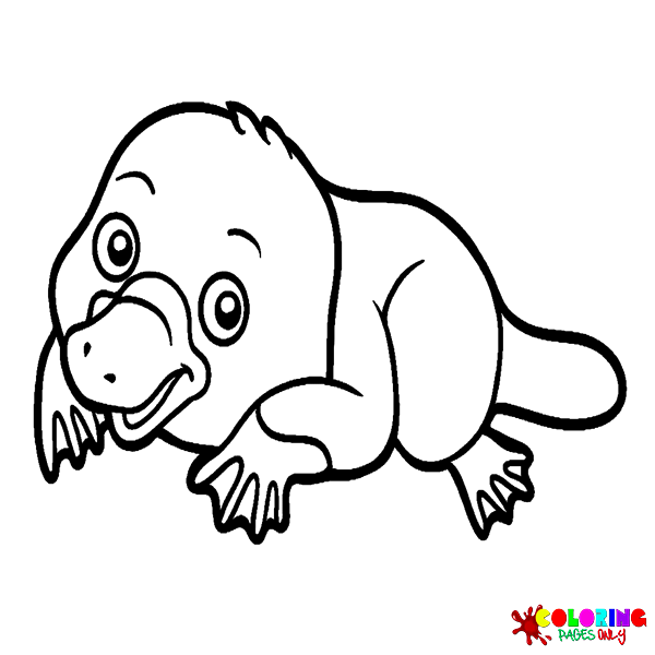 Platypus coloring pages