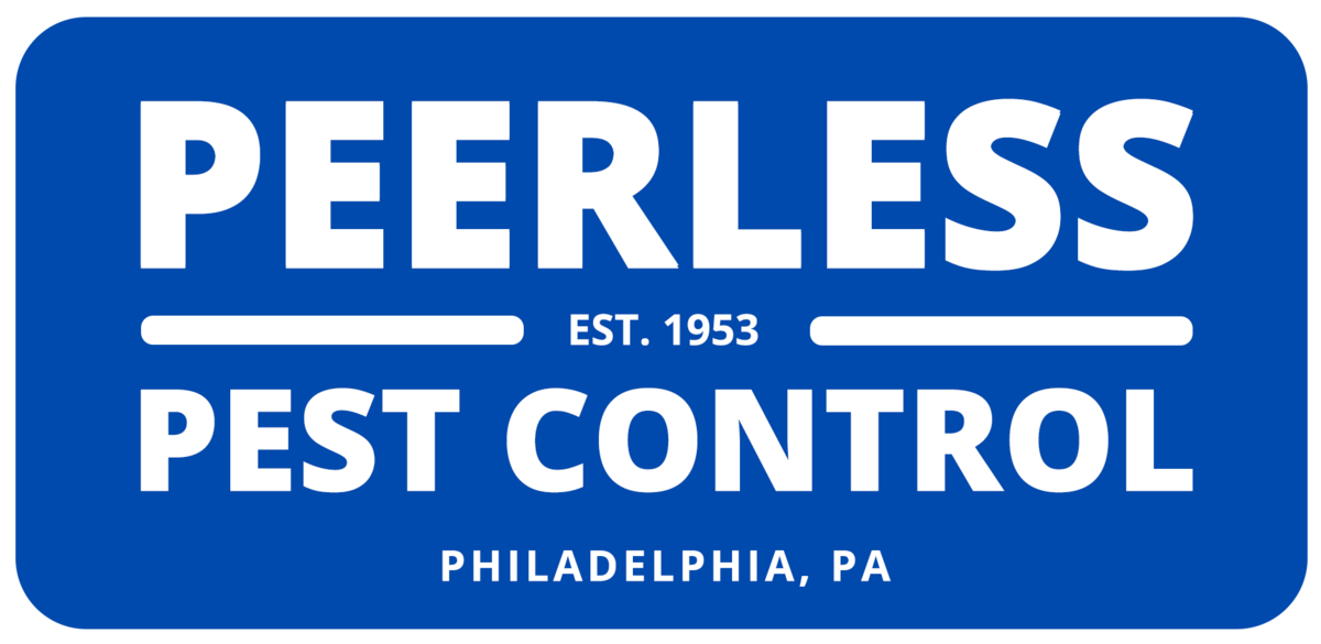 Peerless pest control of philadelphia