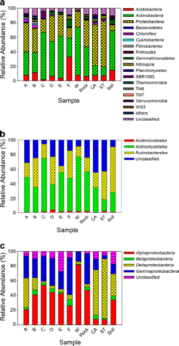 Profiling bacterial diversity and taxonomic position on speleothem surfaces in kartchner caverns az microbial ecology