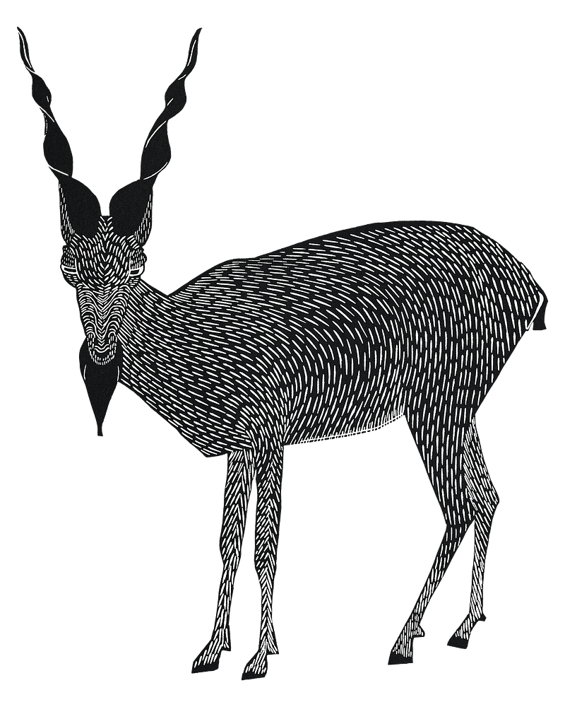Markhor stickers images free photos png stickers wallpapers backgrounds