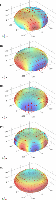 Symmetry aspects in stability investigations for thin membranes putational mechanics