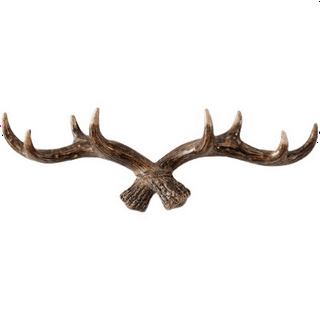 Antler coat rack