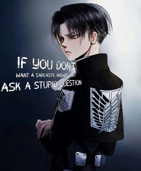 P by sky flakes on levi ackerman attack on titan attack on titan levi attack on titan funny levi memes
