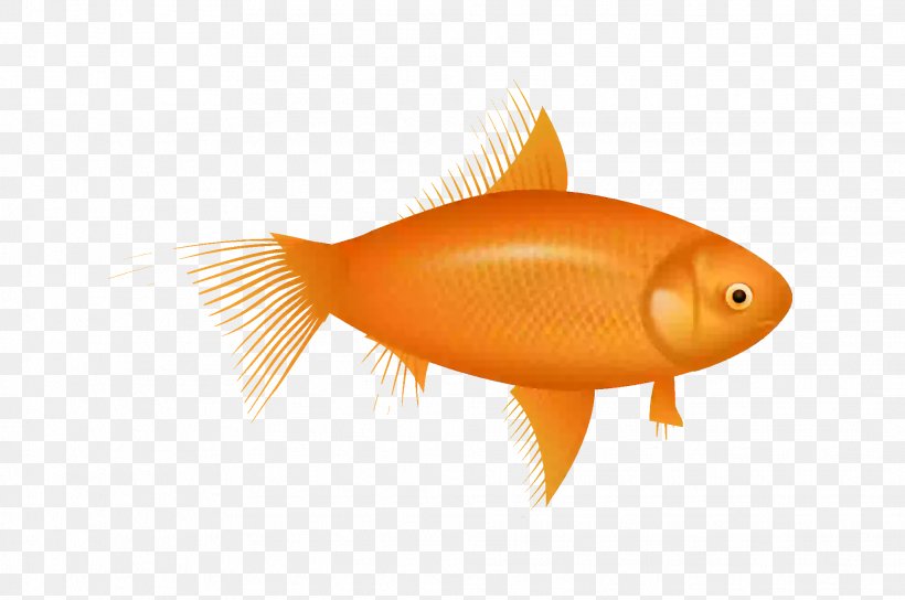 Animation desktop wallpaper webp clip art png xpx animation apng bony fish drawing fauna download free