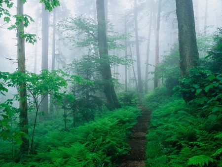 Download Free 100 + appalachian trail desktop wallpaper