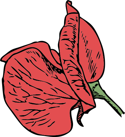 Red flower clip art image