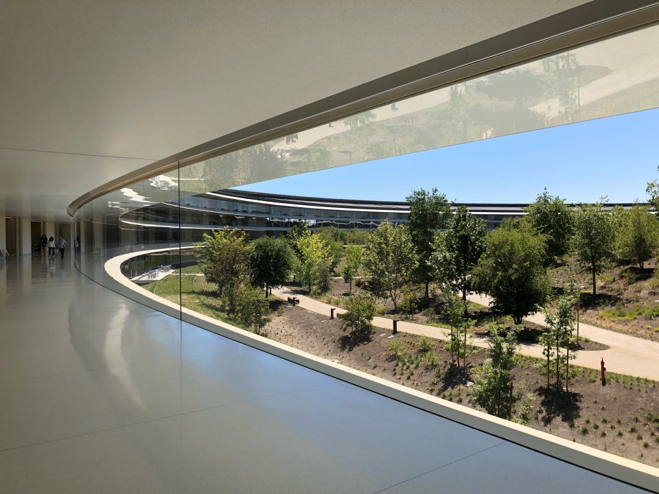 Zoom background apple campus