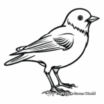 Crow coloring pages