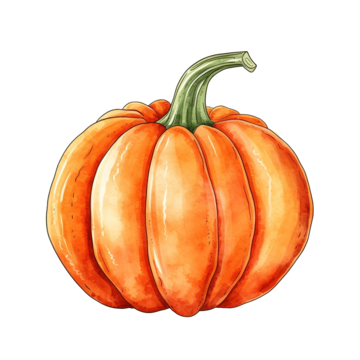 Pumpkin line drawing png images