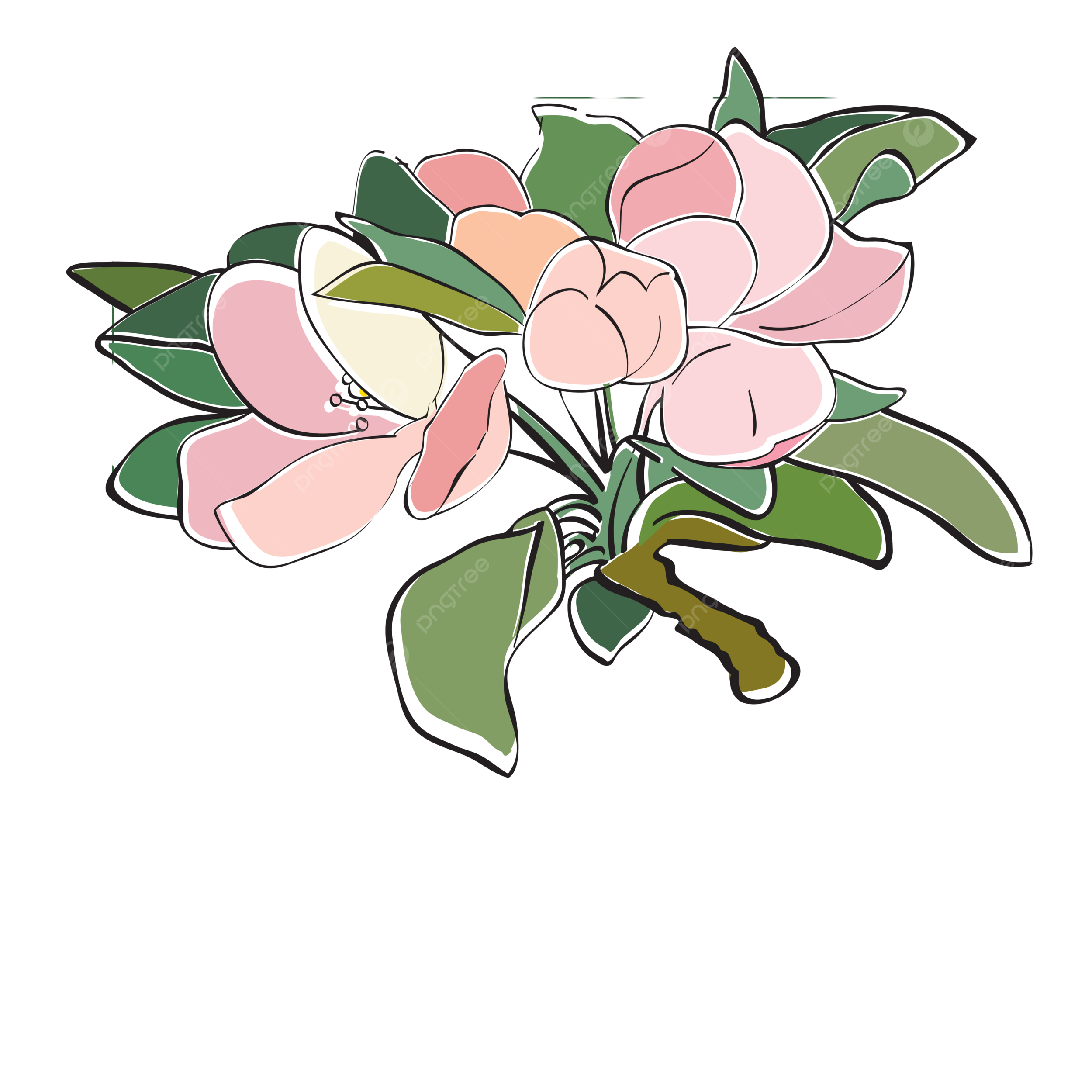 Flower minimal png transparent images free download vector files