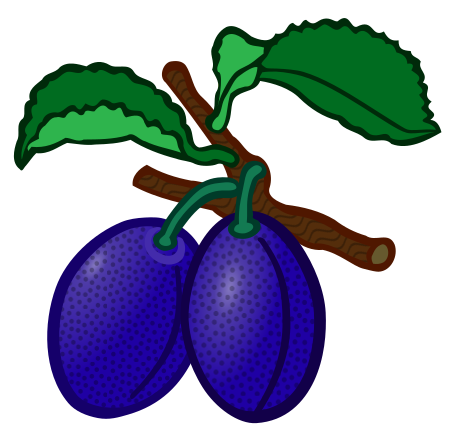 A green apple with a wooden stick in it clip art image