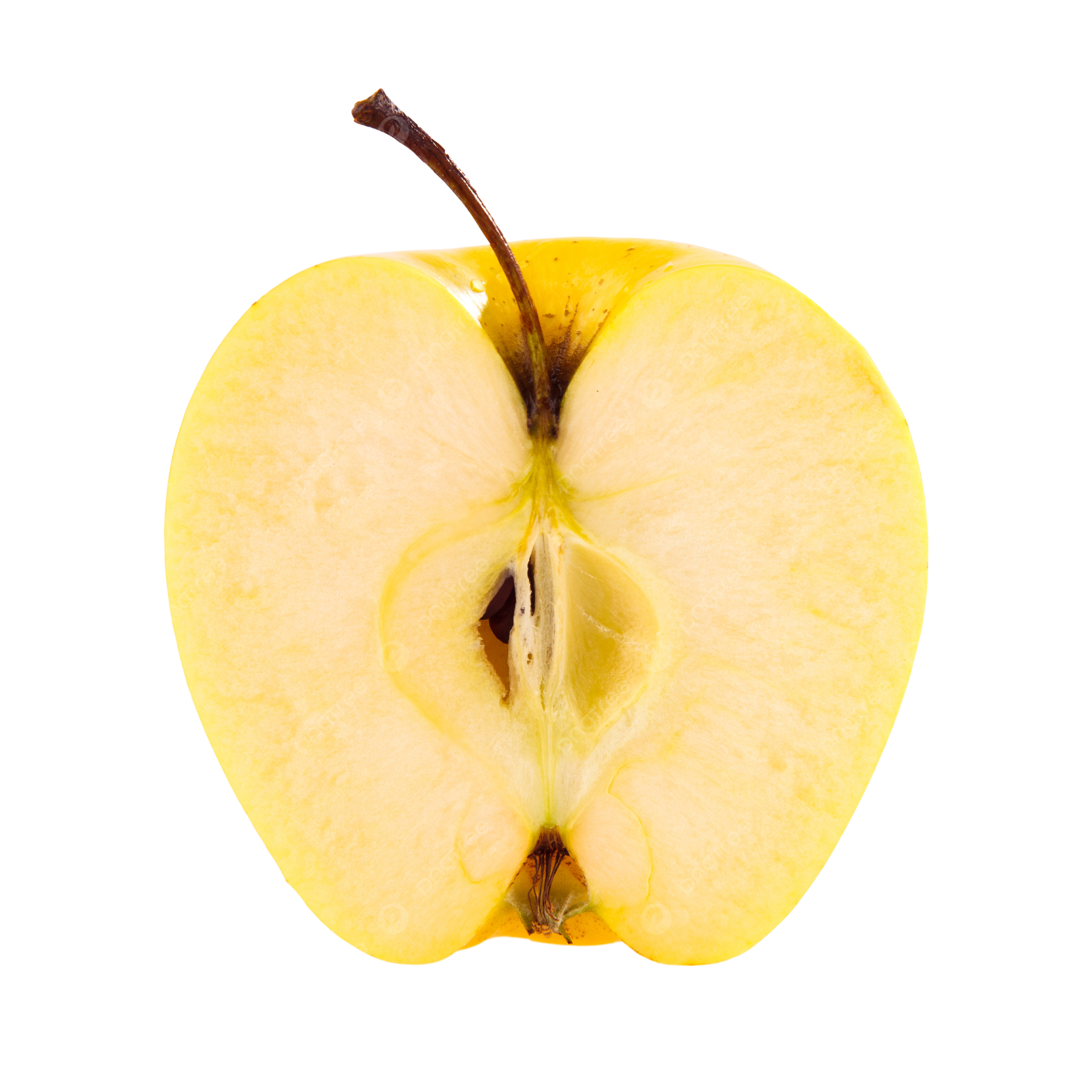 Half apple png transparent images free download vector files