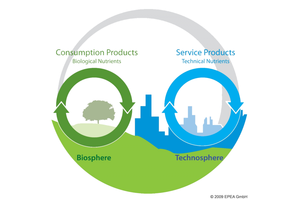 The circular economy in detail