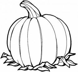 Blank pumpkin colouring pages pagine da colorare per bambini disegni di frutta foglie autunnali
