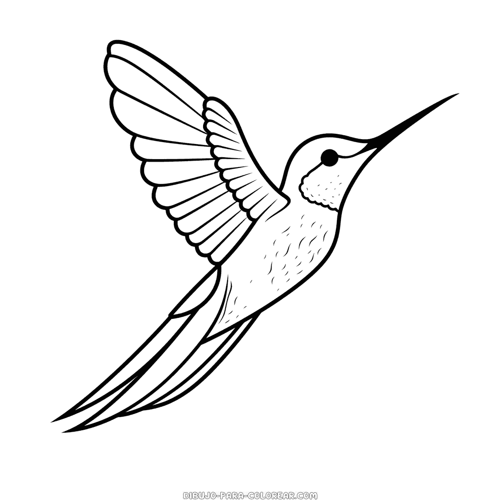 Dibujo de colibrã para colorear dibujo para colorear