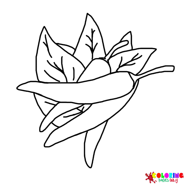 Vegetable coloring pages